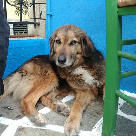 My Tsinari * Tesalónica